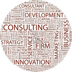 IT Consultancy
